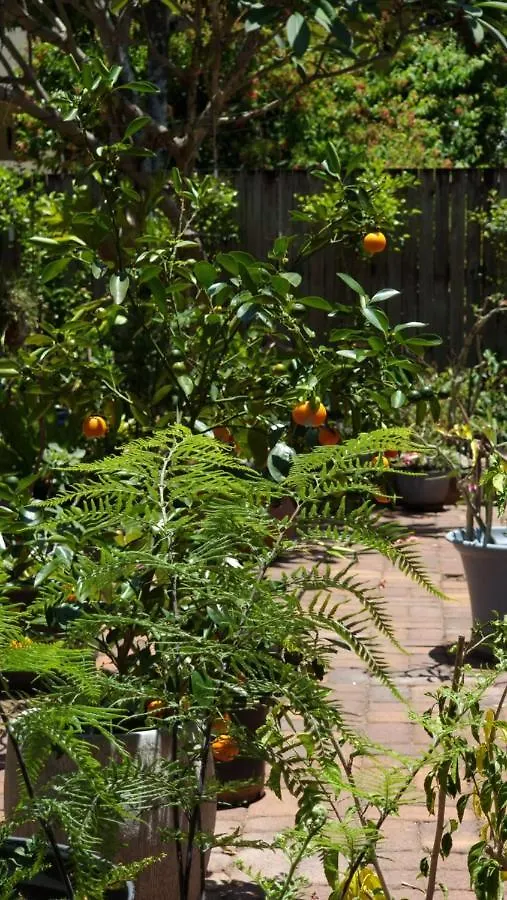 Apartment Jds Tropical Stays Cairns Australia